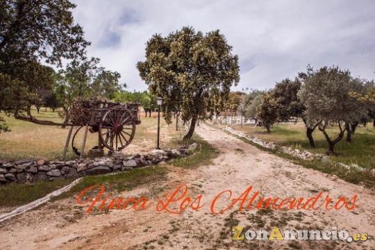 FINCA LOS ALMENDROS. NAVALAGAMELLA
